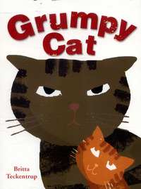 Book Cover for Grumpy Cat by Britta Teckentrup