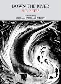 Book Cover for Down the River by H E Bates