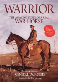 Book Cover for Warrior by John Edward Bernard Seely Mottistone