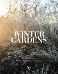 Book Cover for Winter Gardens by Clare Foster