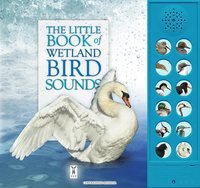 Book Cover for The Little Book of Wetland Bird Sounds by Andrea Pinnington