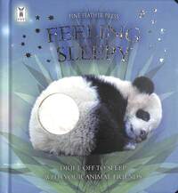 Book Cover for Feeling Sleepy by Andrea Pinnington