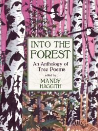 Book Cover for Into the Forest by Mandy Haggith