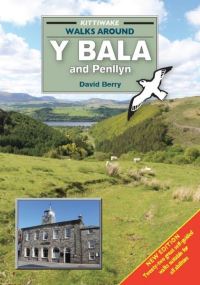 Book Cover for Walks Around Y Bala and Penllyn by David Berry