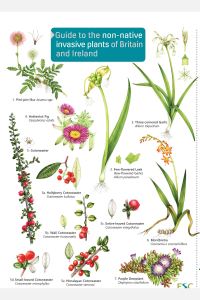 Book Cover for Guide to the Non-Native Invasive Plants of Britain and Ireland by Rebecca FarleyBrown, Field Studies Council Great Britain