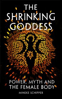 Book Cover for The Shrinking Goddess by Mineke Schipper