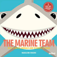 Book Cover for The Marine Team by Jason Hook