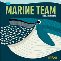 Book Cover for The Marine Team by Jason Hook