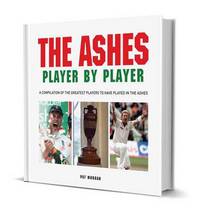 Book Cover for The Ashes by Pat Morgan