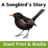 Book Cover for A Songbird's Story by Catherine MacLeodSmith, Caroline Frith