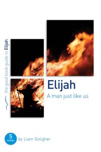 Book Cover for A Man Just Like Us by Liam Goligher