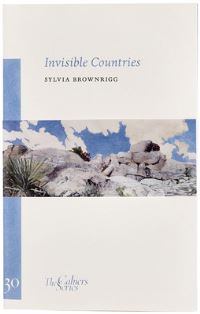 Book Cover for Invisible Countries by Sylvia Brownrigg