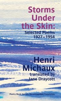 Book Cover for Storms Under the Skin by Henri Michaux