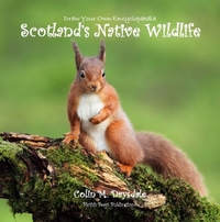 Book Cover for Scotland's Native Wildlife by Colin M Drysdale