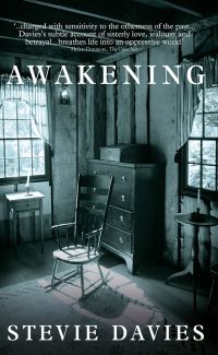 Book Cover for Awakening by Stevie Davies