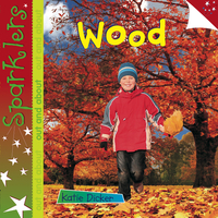 Book Cover for Wood by Katie Dicker