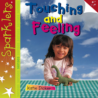 Book Cover for Touching and Feeling by Katie Dicker