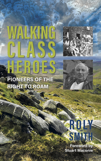 Book Cover for Walking Class Heroes by Roland Smith