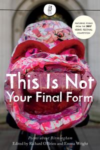 Book Cover for This Is Not Your Final Form by Hannah Silva