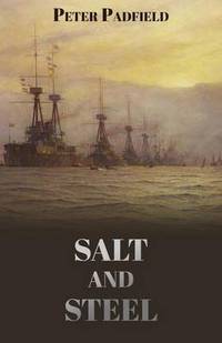 Book Cover for Salt and Steel by Isaac Ayodele