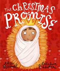 Book Cover for The Christmas Promise Storybook by Alison Mitchell