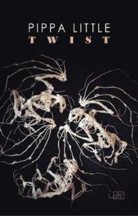 Book Cover for Twist by Pippa Little