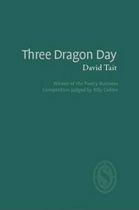 Book Cover for Three Dragon Day by David Tait
