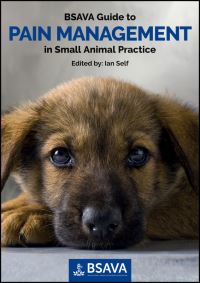 Book Cover for BSAVA Guide to Pain Management in Small Animal Practice by British Small Animal Veterinary Association