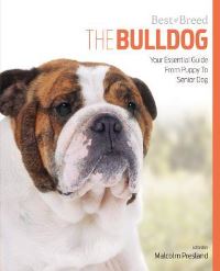 Book Cover for The Bulldog by Agata Krupa