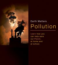 Book Cover for Pollution by Cindy Leaney