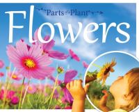 Book Cover for Flowers by Gemma McMullen