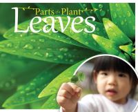 Book Cover for Leaves by Gemma McMullen