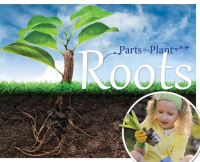 Book Cover for Roots by Gemma McMullen