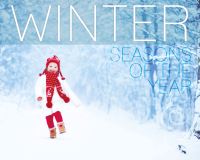 Book Cover for Winter by Harriet Brundle