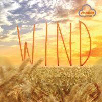 Book Cover for Wind by Harriet Brundle