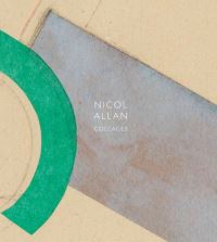 Book Cover for Nicol Allan by Sarah Allan