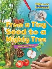 Book Cover for From a Tiny Seed to a Mighty Tree by Ruth Owen