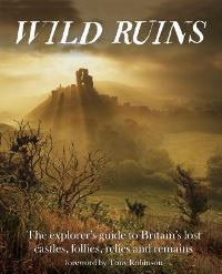 Book Cover for Wild Ruins by Dave Hamilton