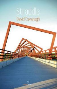 Book Cover for Straddle by David Cavanagh