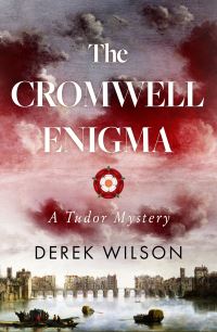 Book Cover for The Cromwell Enigma by Derek Wilson
