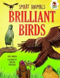 Book Cover for Brilliant Birds by John Farndon