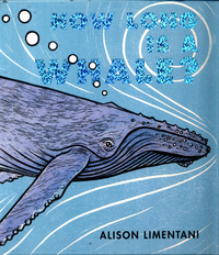 Book Cover for How Long Is a Whale? by Alison Limentani