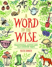 Book Cover for A Word to the Wise by Ruth Binney