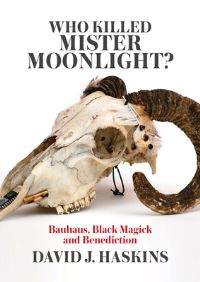 Book Cover for Who Killed Mister Moonlight? by David J