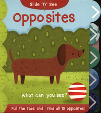 Book Cover for Opposites by Nick Ackland