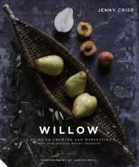 Book Cover for Willow by Jenny Crisp