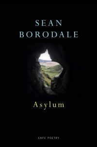 Book Cover for Asylum by Sean Borodale