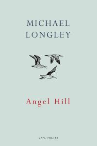 Book Cover for Angel Hill by Michael Longley