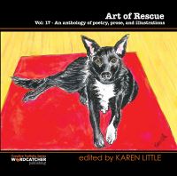 Book Cover for Art of Rescue by Various Authors