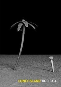 Book Cover for Coney Island by Rob Ball
